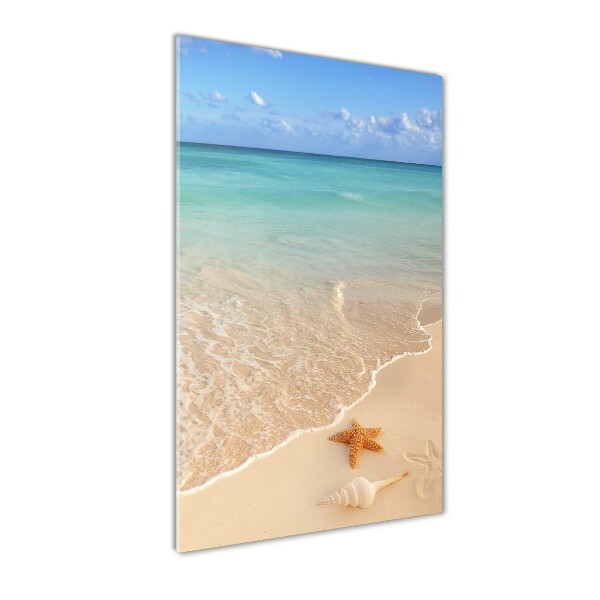 Cuadro decorativo en acrílico brillante vertical Estrellas de mar en la playa