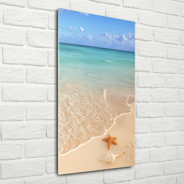 Cuadro decorativo en acrílico brillante vertical Estrellas de mar en la playa