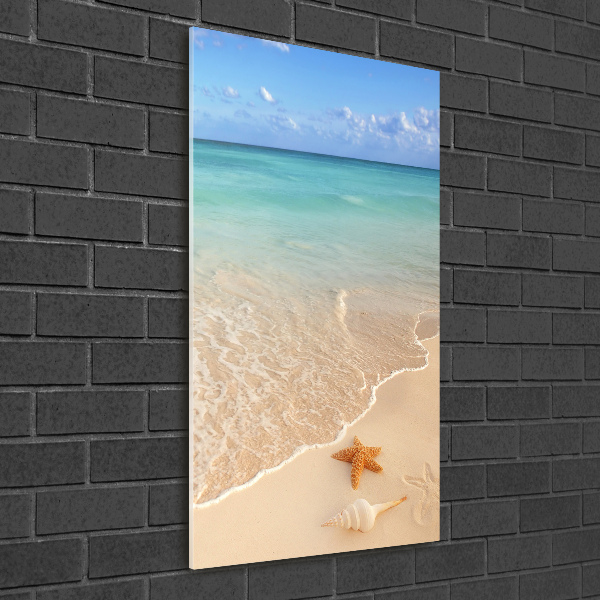 Cuadro decorativo en acrílico brillante vertical Estrellas de mar en la playa