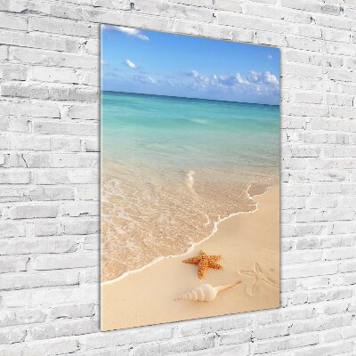 Cuadro decorativo en acrílico brillante vertical Estrellas de mar en la playa