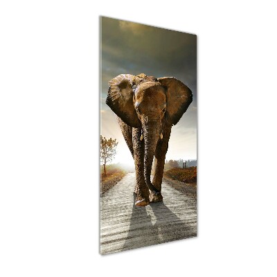 Cuadro de metacrilato moderno efecto cristal vertical Elefante caminando