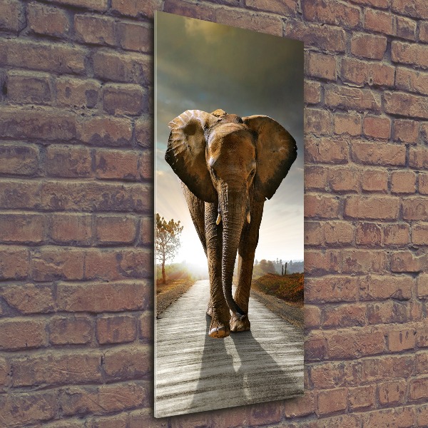 Cuadro de metacrilato moderno efecto cristal vertical Elefante caminando