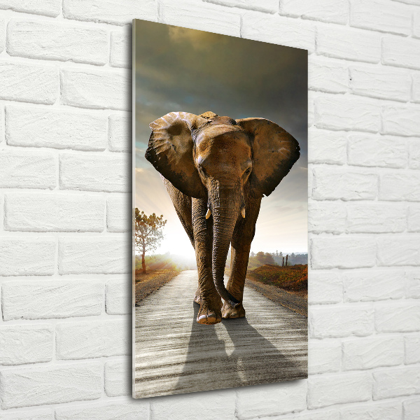 Cuadro de metacrilato moderno efecto cristal vertical Elefante caminando