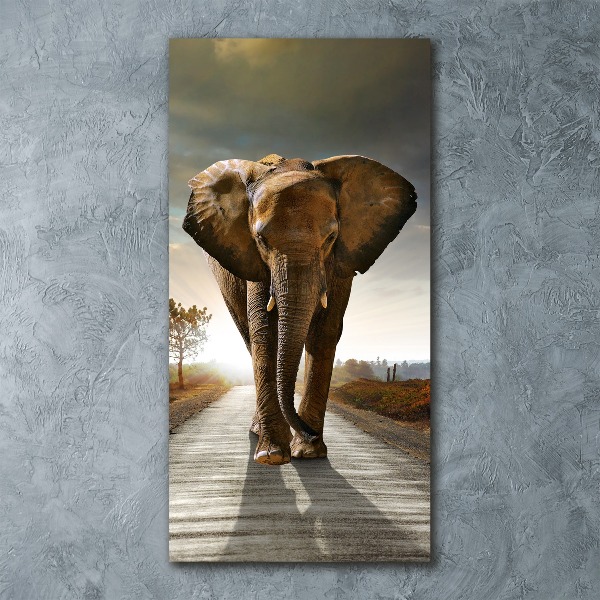 Cuadro de metacrilato moderno efecto cristal vertical Elefante caminando