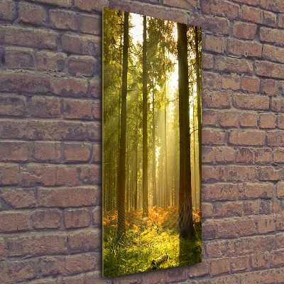 Cuadro de metacrilato moderno efecto cristal vertical Hermoso bosque