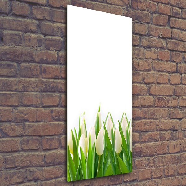 Impresión en metacrilato de alta calidad vertical tulipanes blancos
