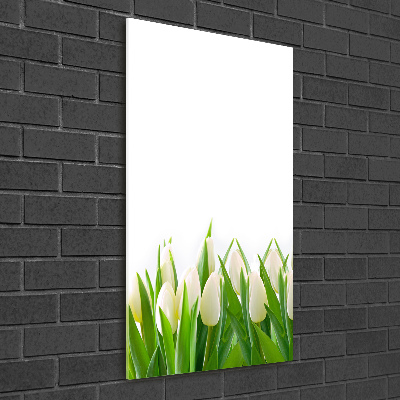 Impresión en metacrilato de alta calidad vertical tulipanes blancos
