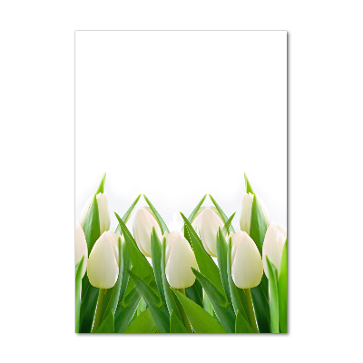 Impresión en metacrilato de alta calidad vertical tulipanes blancos