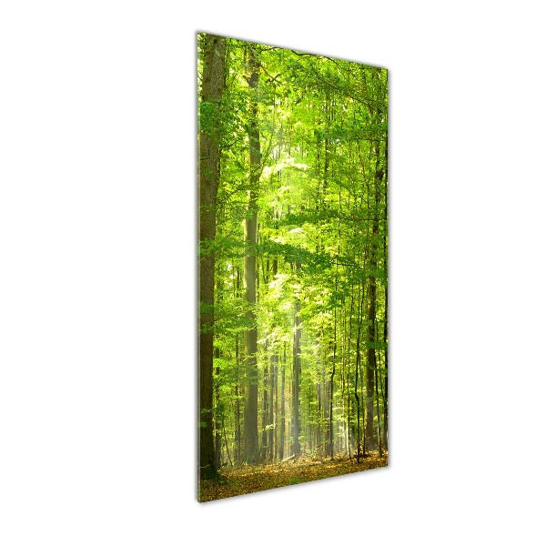 Cuadro de metacrilato moderno efecto cristal vertical bosque de hayas