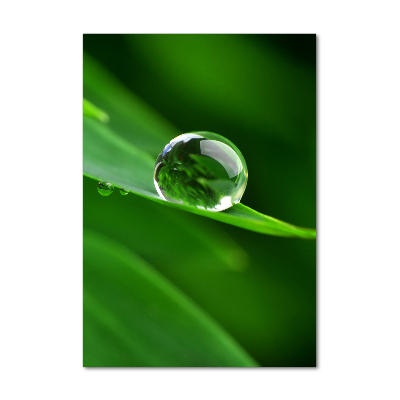 Cuadro de metacrilato vertical Una brizna de hierba