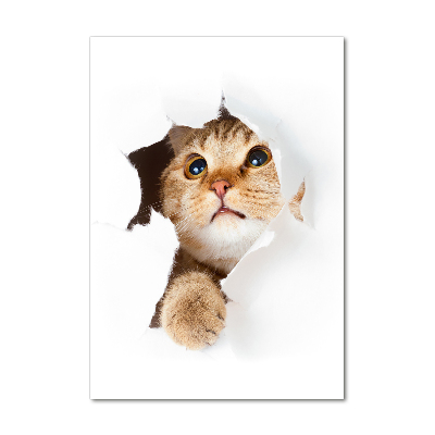 Cuadro de metacrilato vertical Gato