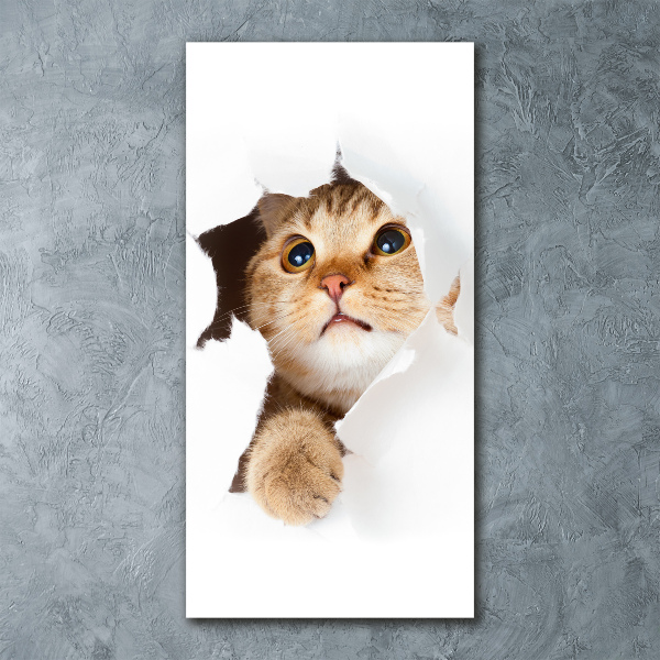 Cuadro de metacrilato vertical Gato
