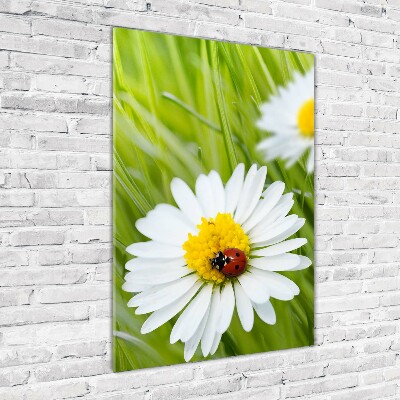 Cuadro de metacrilato moderno efecto cristal vertical margaritas