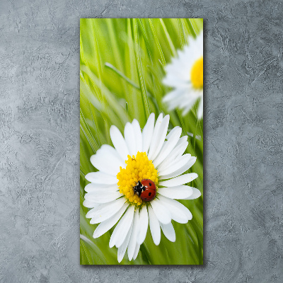 Cuadro de metacrilato moderno efecto cristal vertical margaritas