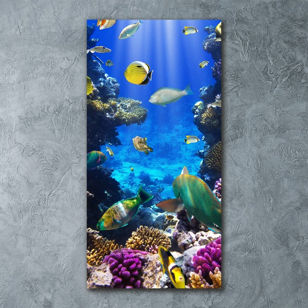 Cuadro de metacrilato moderno efecto cristal vertical Arrecife de coral