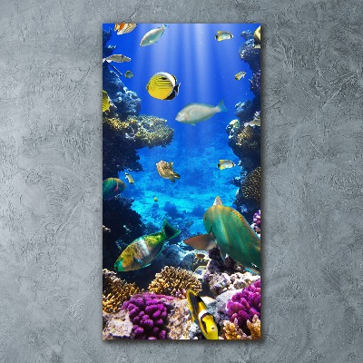 Cuadro de metacrilato moderno efecto cristal vertical Arrecife de coral