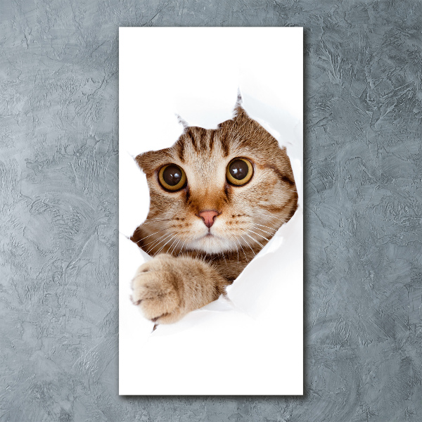 Cuadro decorativo en acrílico brillante vertical Gato