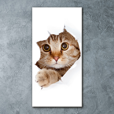 Cuadro decorativo en acrílico brillante vertical Gato