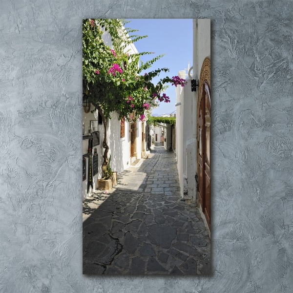 Cuadro decorativo en acrílico brillante vertical Un camino encantador