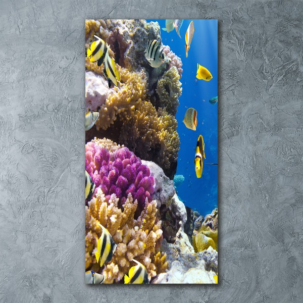 Cuadro de metacrilato vertical Arrecife de coral