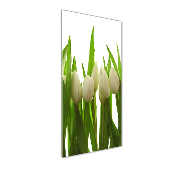 Cuadro decorativo en acrílico brillante vertical tulipanes blancos