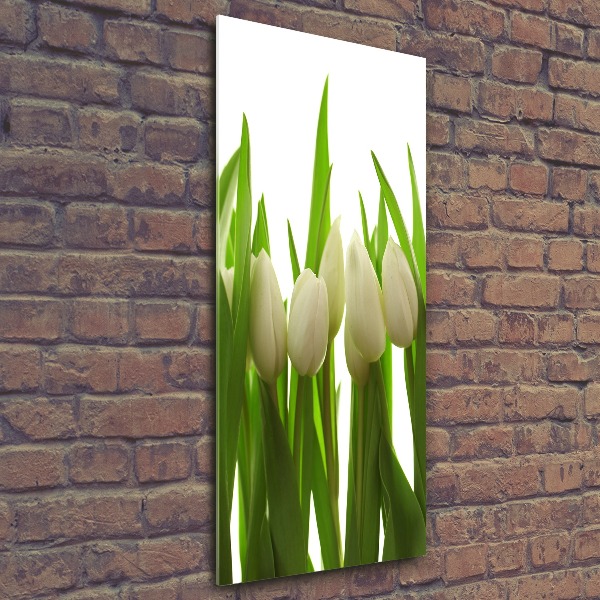 Cuadro decorativo en acrílico brillante vertical tulipanes blancos