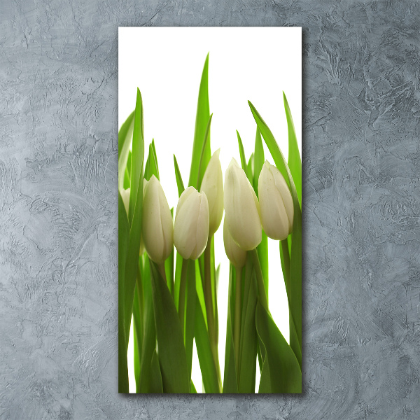Cuadro decorativo en acrílico brillante vertical tulipanes blancos