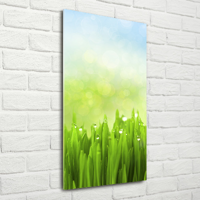 Impresión en metacrilato de alta calidad vertical Césped