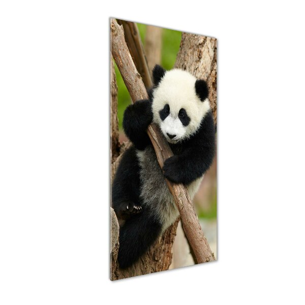 Cuadro de metacrilato vertical Panda en un árbol