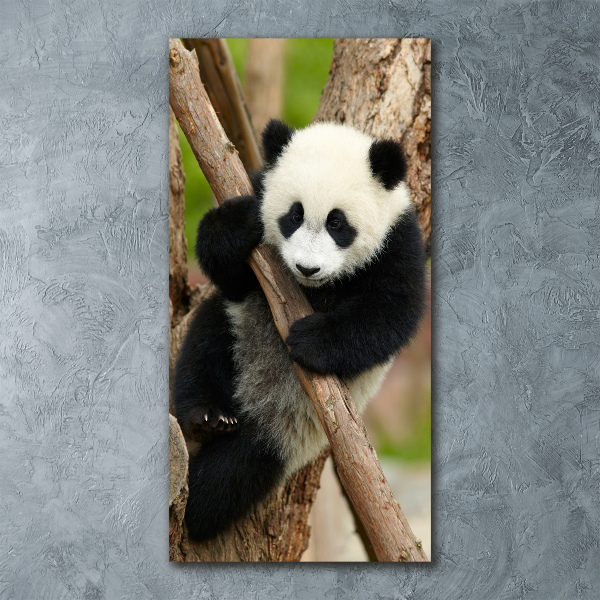 Cuadro de metacrilato vertical Panda en un árbol