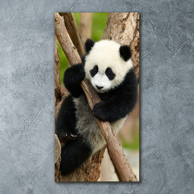Cuadro de metacrilato vertical Panda en un árbol