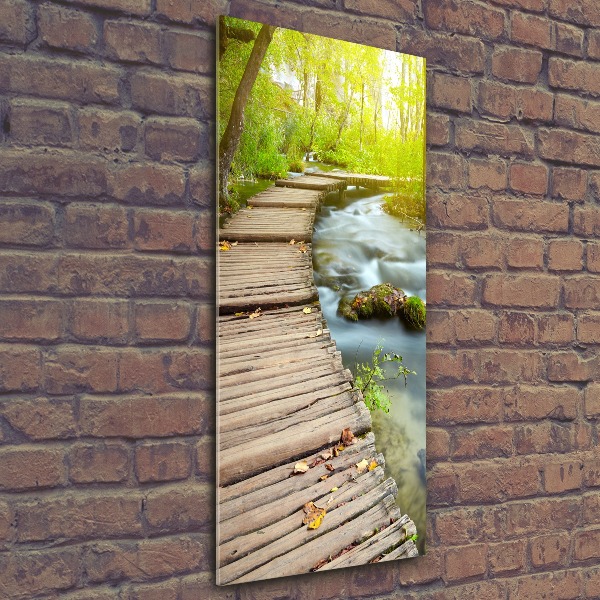 Cuadro de metacrilato vertical Camino en el bosque