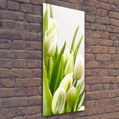 Cuadro de metacrilato vertical tulipanes blancos