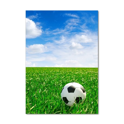 Cuadro de metacrilato vertical Fútbol en el prado