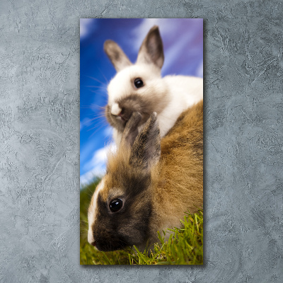 Impresión en metacrilato de alta calidad vertical Dos conejos