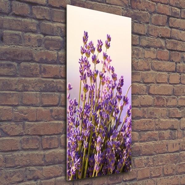 Cuadro de metacrilato moderno efecto cristal vertical Lavanda