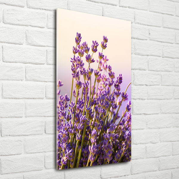 Cuadro de metacrilato moderno efecto cristal vertical Lavanda