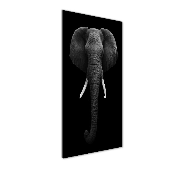 Cuadro decorativo en acrílico brillante vertical elefante africano