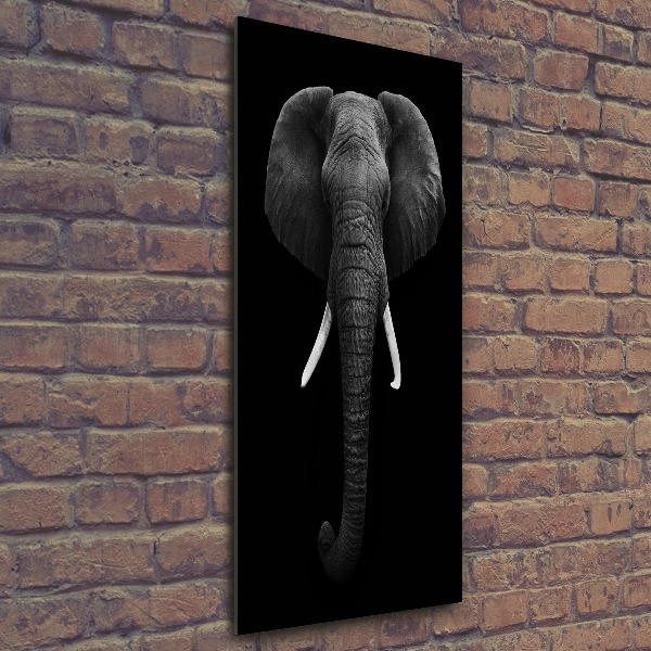 Cuadro decorativo en acrílico brillante vertical elefante africano