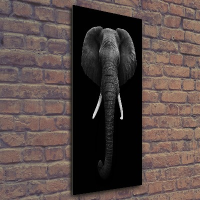 Cuadro decorativo en acrílico brillante vertical elefante africano