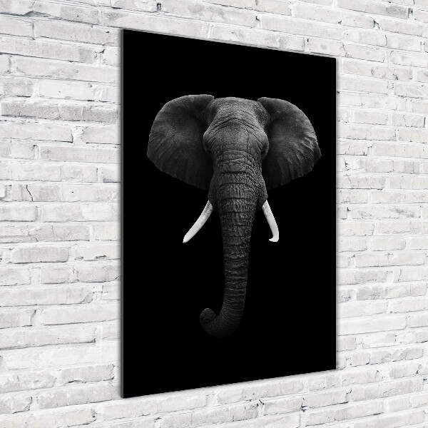 Cuadro decorativo en acrílico brillante vertical elefante africano