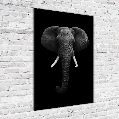 Cuadro decorativo en acrílico brillante vertical elefante africano
