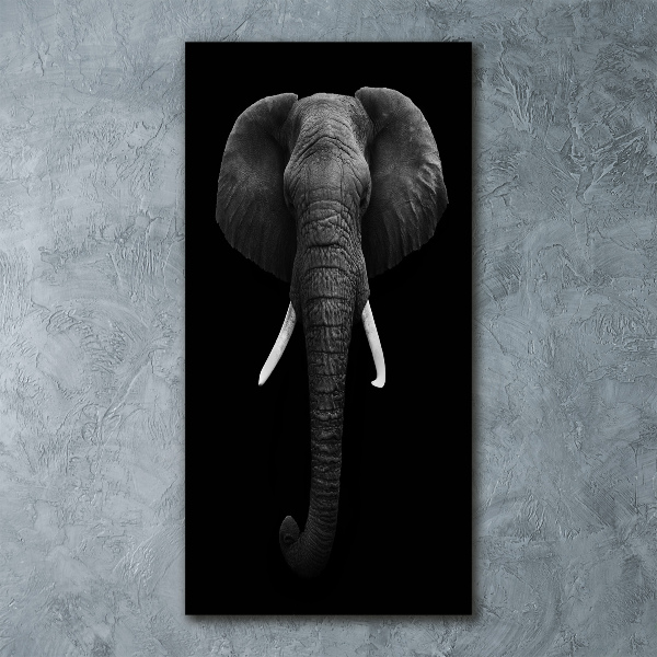 Cuadro decorativo en acrílico brillante vertical elefante africano