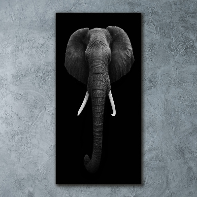 Cuadro decorativo en acrílico brillante vertical elefante africano