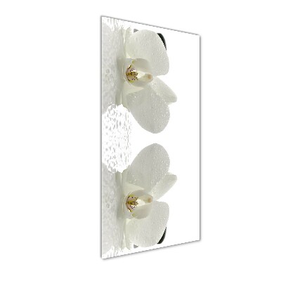 Cuadro decorativo en acrílico brillante vertical Orquídea y piedras