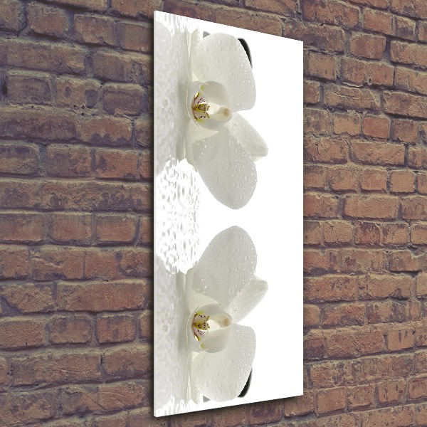 Cuadro decorativo en acrílico brillante vertical Orquídea y piedras
