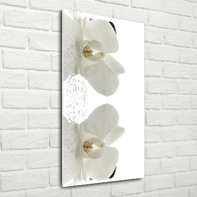 Cuadro decorativo en acrílico brillante vertical Orquídea y piedras