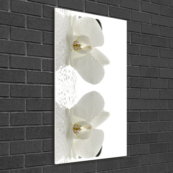 Cuadro decorativo en acrílico brillante vertical Orquídea y piedras