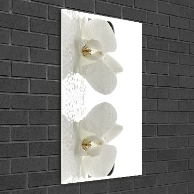 Cuadro decorativo en acrílico brillante vertical Orquídea y piedras