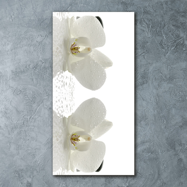 Cuadro decorativo en acrílico brillante vertical Orquídea y piedras